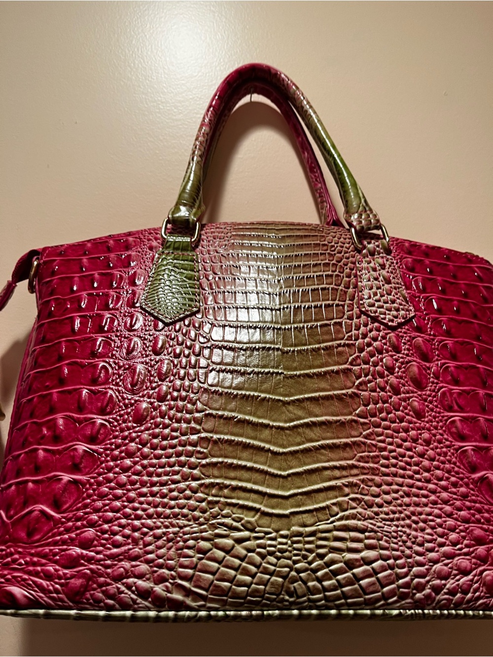 Red and Olive Croc-Embossed Satchel Bag